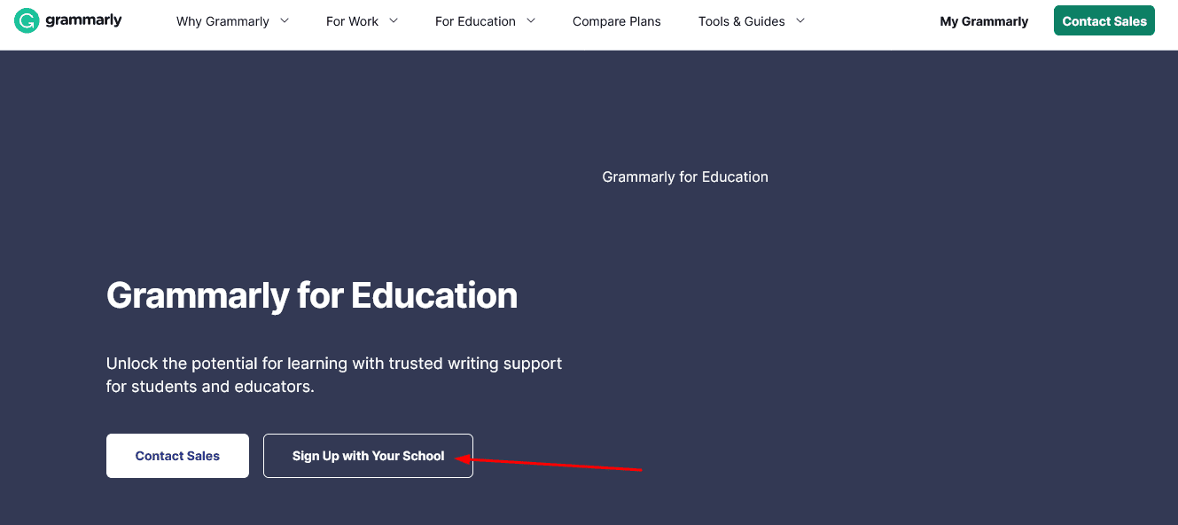 grammarly for education